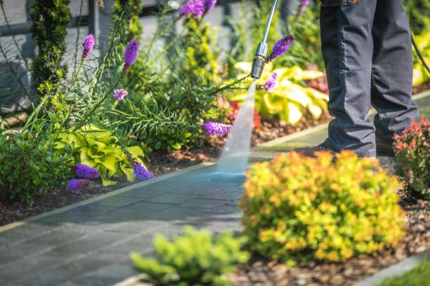 Best Pool Deck Cleaning  in Riverside, PA